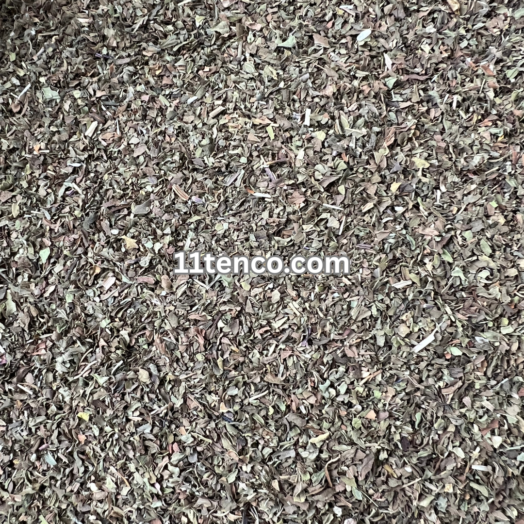 Yerba Mate (Ilex paraguariensis)