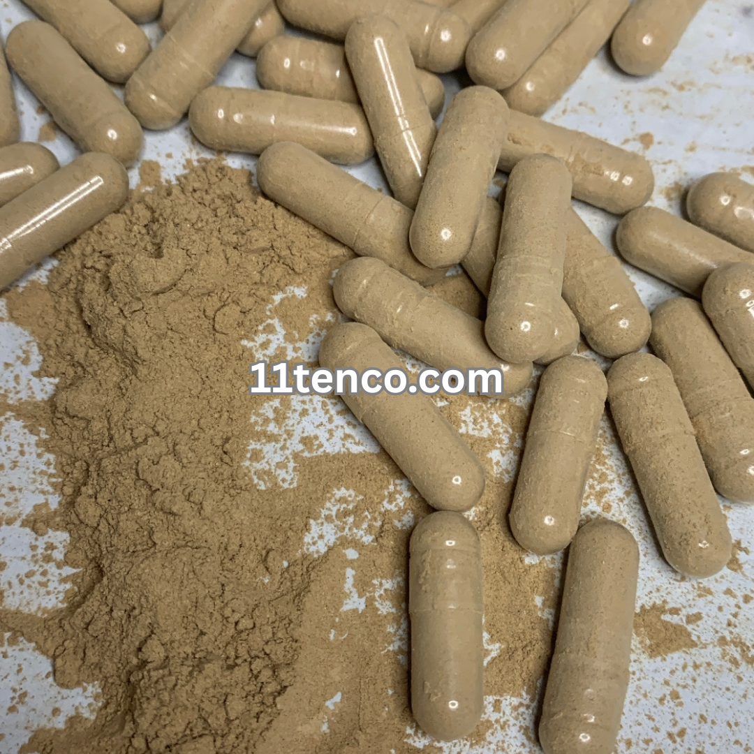 Burdock Root (Atctium lappa)