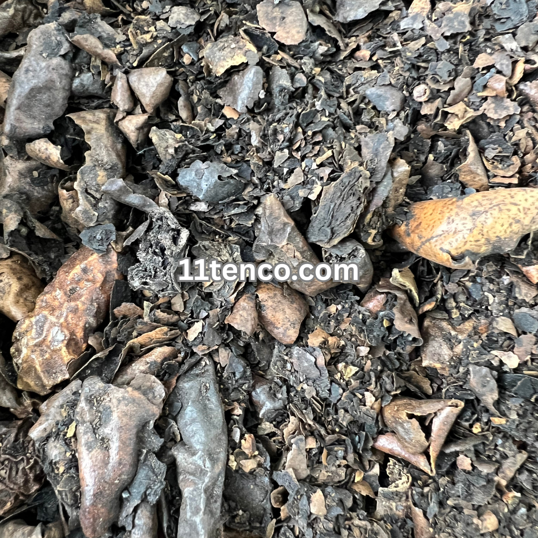 Black Walnut (Juglans nigra)