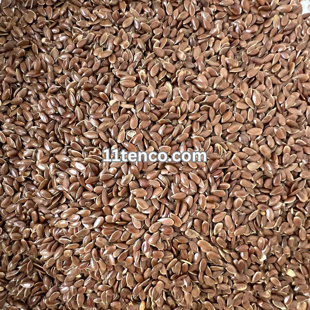 Flax Seeds (Linum usitatissimum)