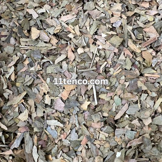 Gingko (Gingko biloba)