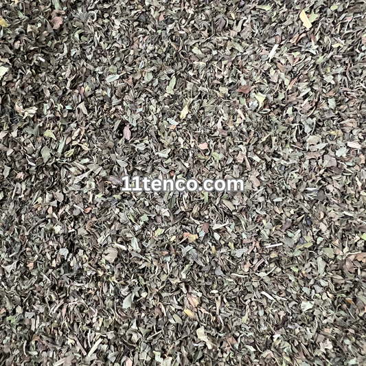 Peppermint (Mentha piperita)
