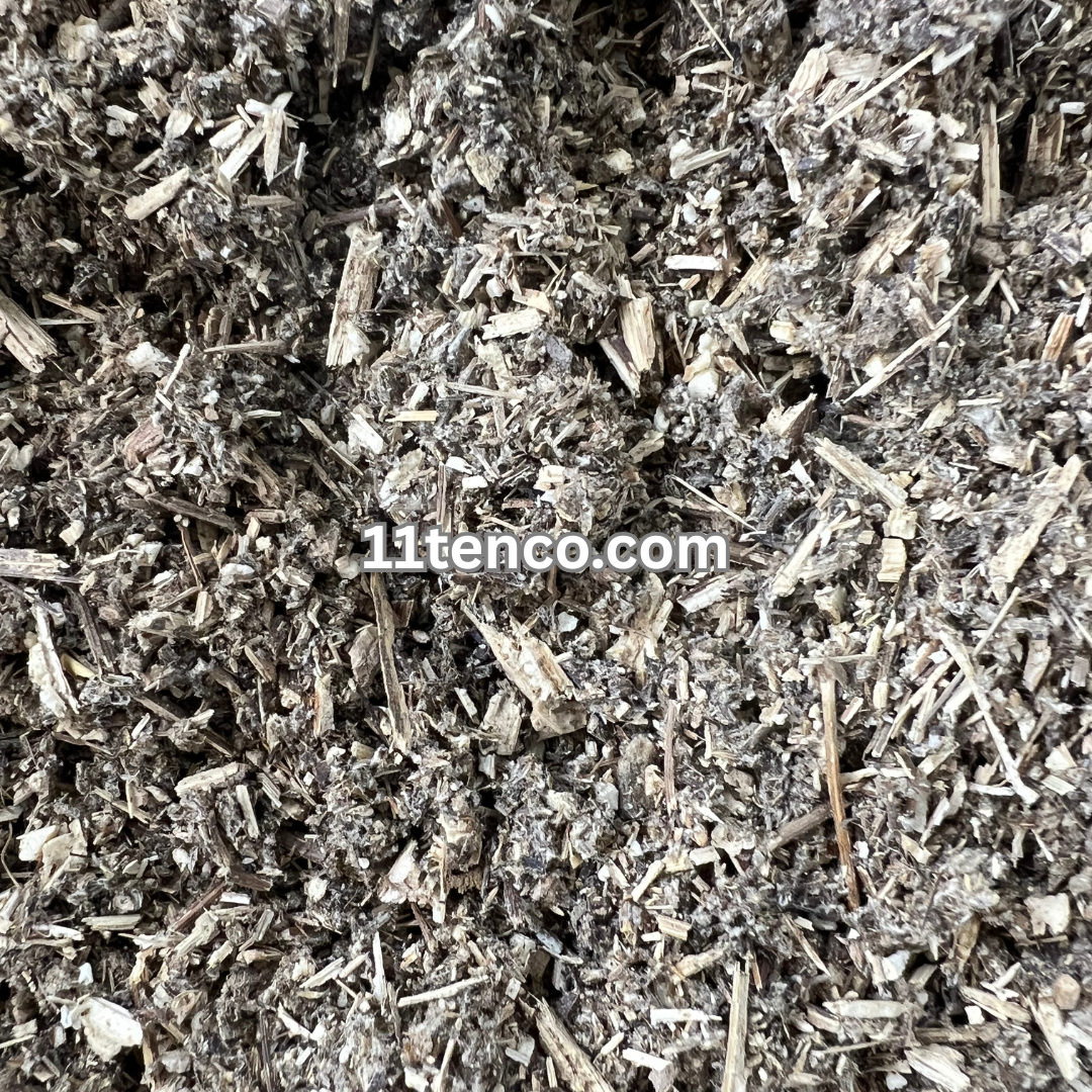 Mugwort (Artemisia vulgaris)