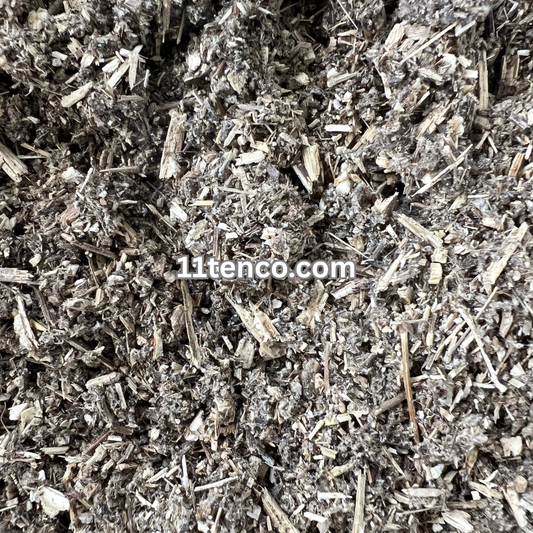 Mugwort (Artemisia vulgaris)