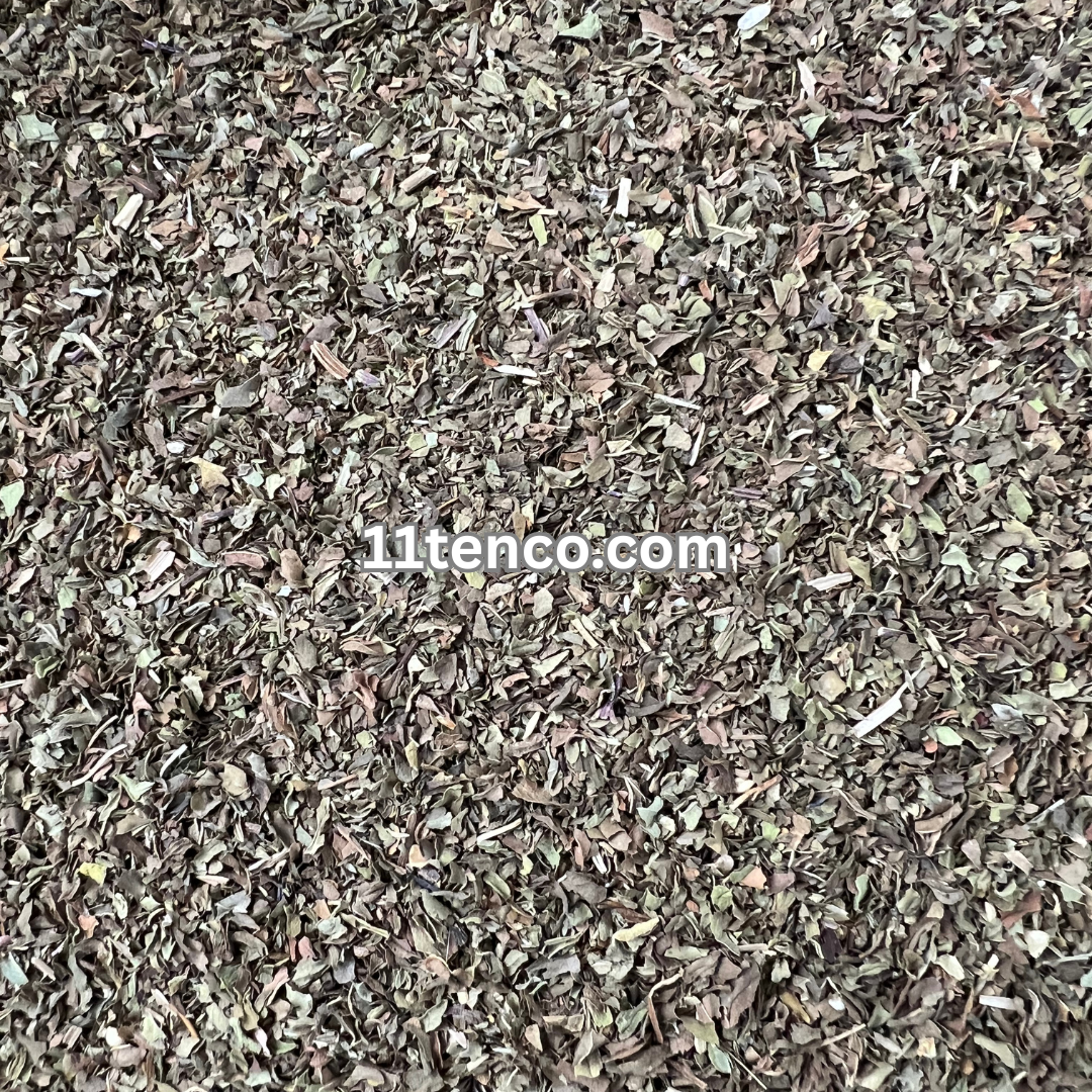 Spearmint (Mentha spicata)