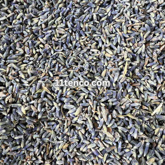 Lavender (Lavandula x intermedia)