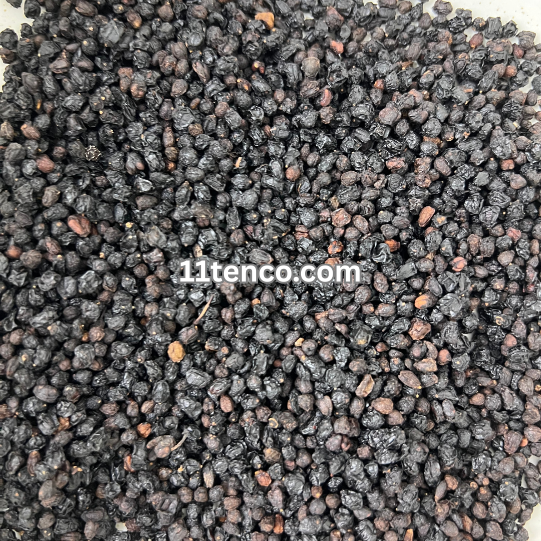 Elderberry (Sambucus Nigra)