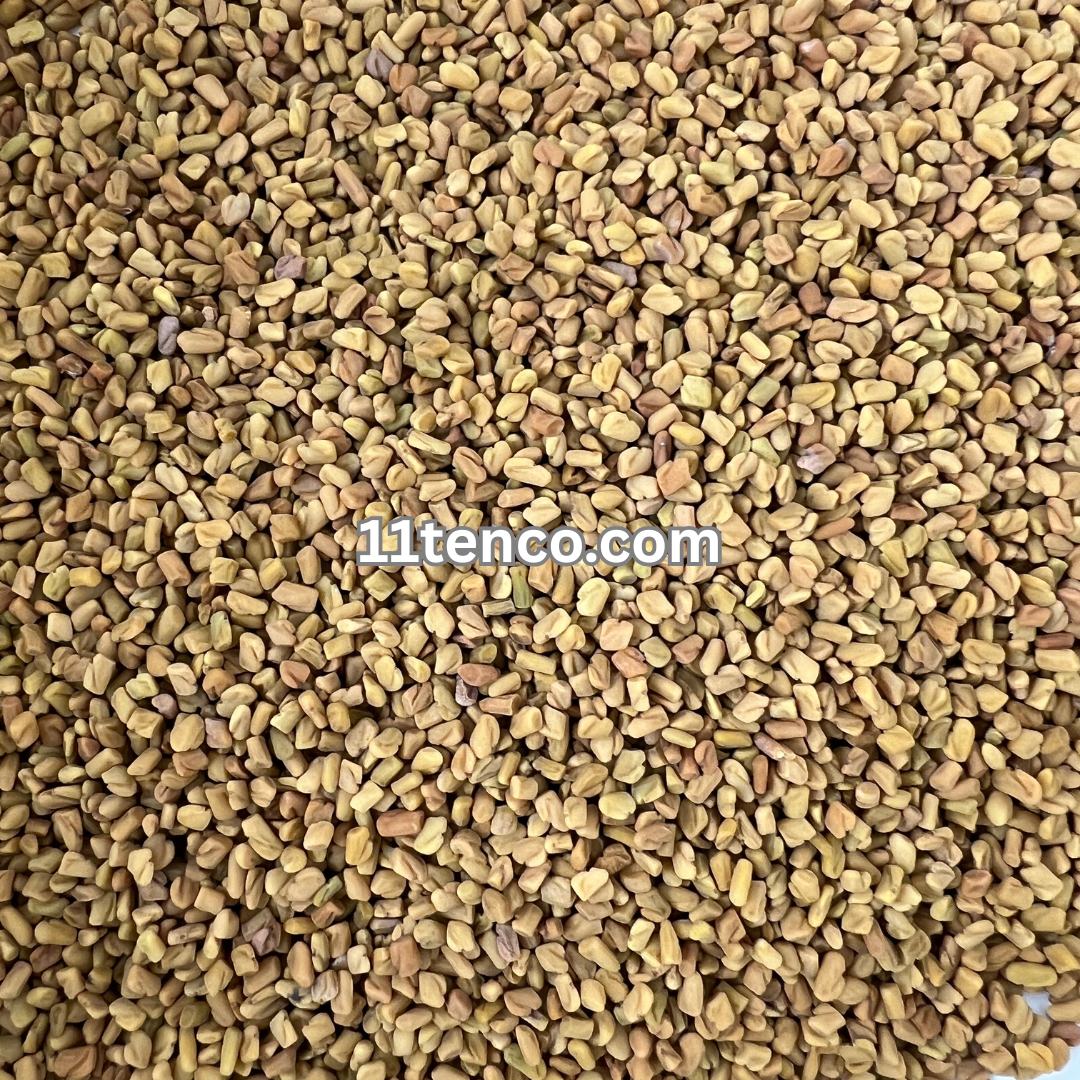 Fenugreek (Trigonella graecum)