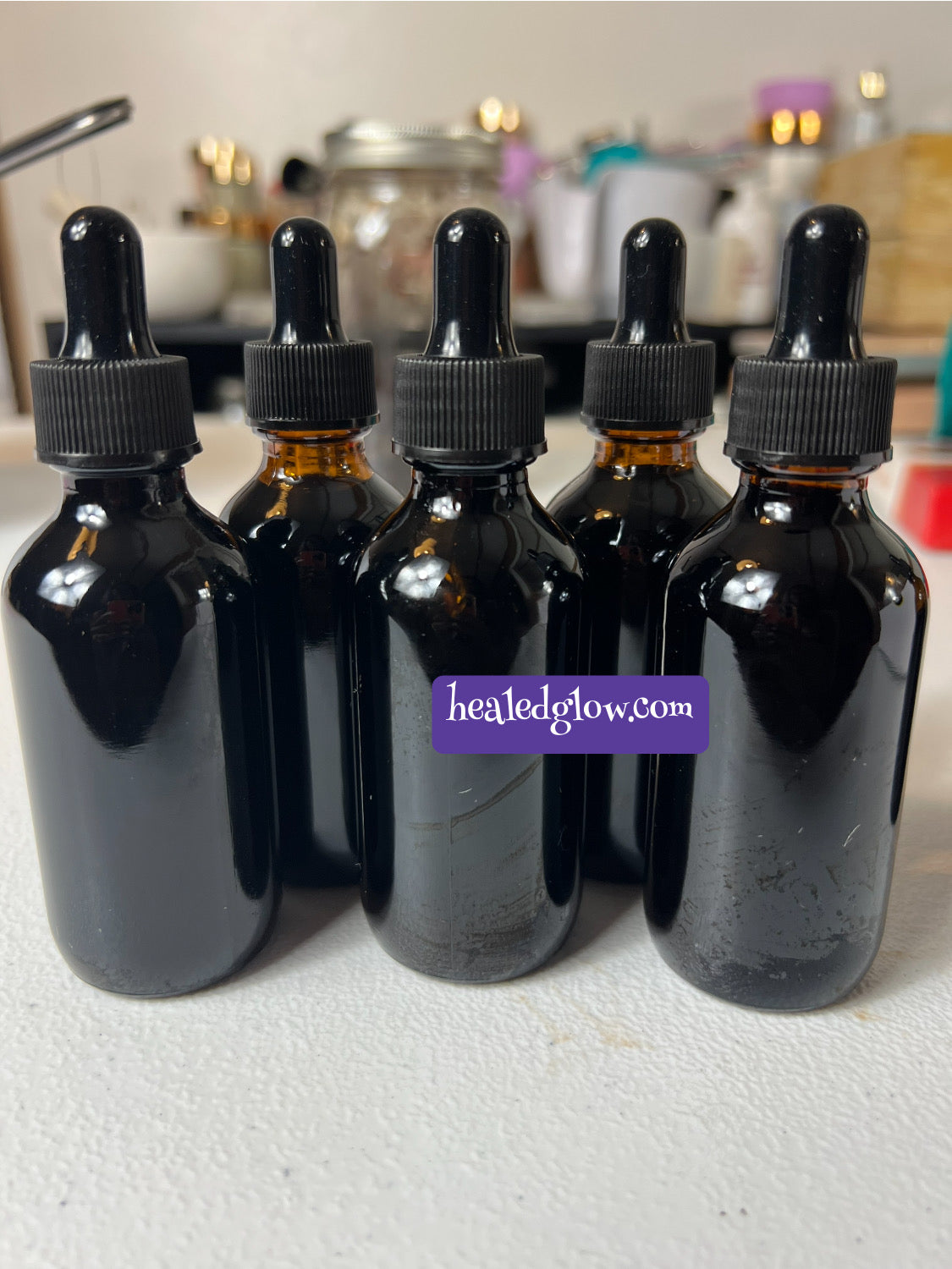 Elderberry (Sambucus Nigra)